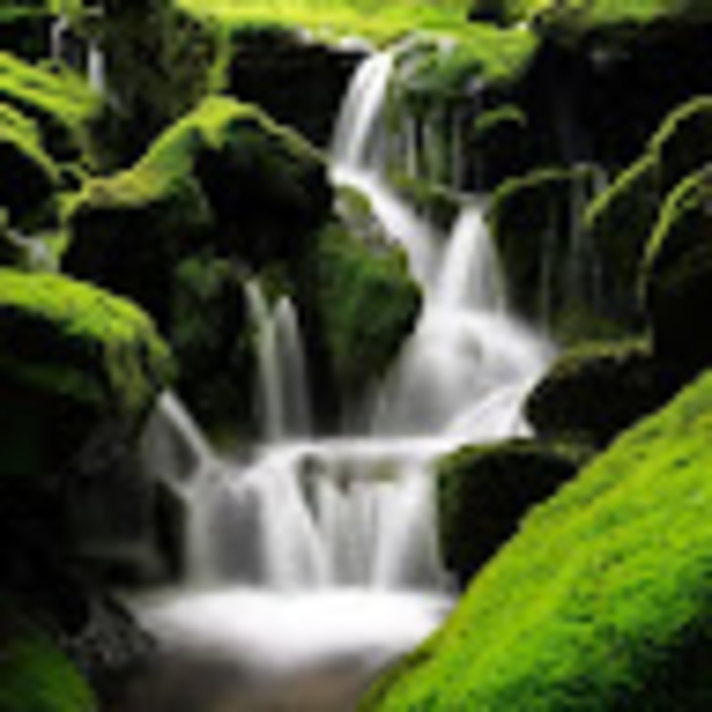 Meet your Posher, Hi